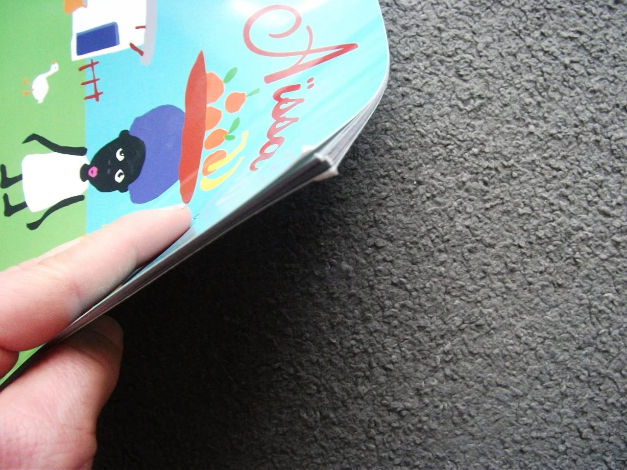 Boek Aïssa Lezen is vertrekken – photo 11